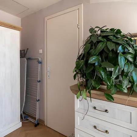 公寓 Klara Vracar 90 M2, Dve I Po Spavace Sobe 贝尔格莱德